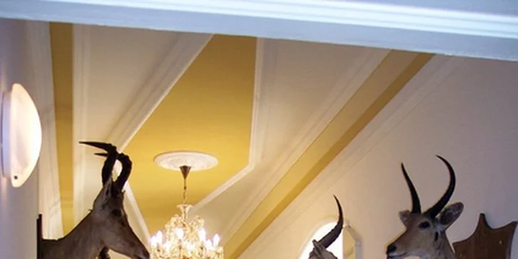 3 piva, oběd a prohlídka zámku Letovice i se sklepením