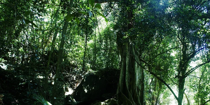 Letecký zájezd do Brazílie s vodopády Iguacu