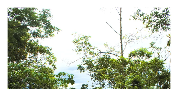 Letecký zájezd do Brazílie s vodopády Iguacu