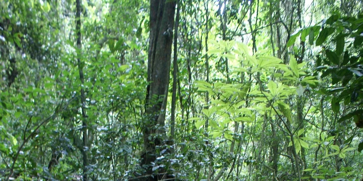 Letecký zájezd do Brazílie s vodopády Iguacu