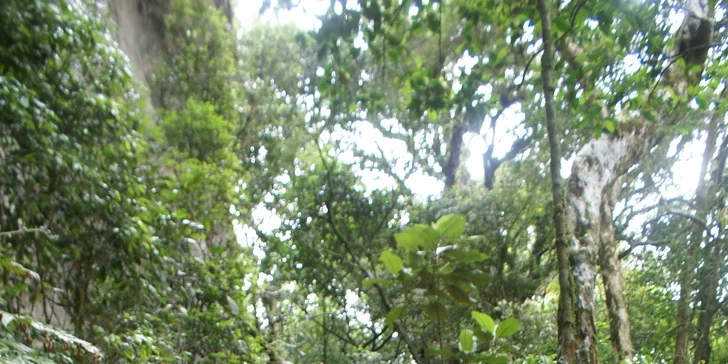 Letecký zájezd do Brazílie s vodopády Iguacu