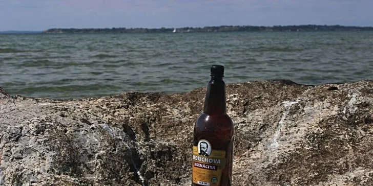 Vepřové hody, Bedřichova 11° i prohlídka pivovaru