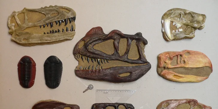 Tvůrčí odpoledne v Triloparku aneb Vytvořte si vlastního dinosaura