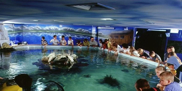 Last minute zájezd do úchvatného Tropicaria v Budapešti