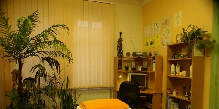 Odstranění bolestí zad a kloubů Dornovou metodou
