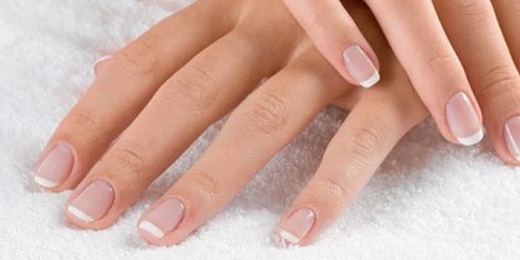 Lakování shellac