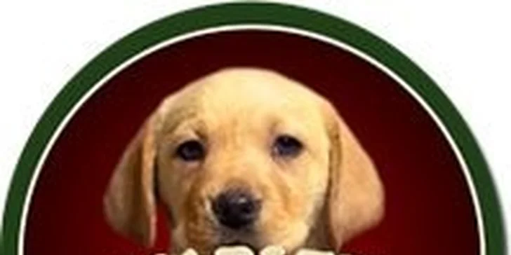 2 kila masových dobrot pro partu jedlíků