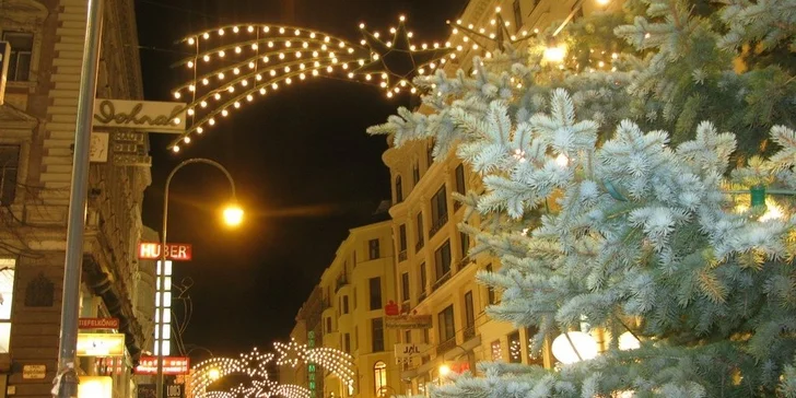 Celý den na adventních trzích v Německu i Rakousku