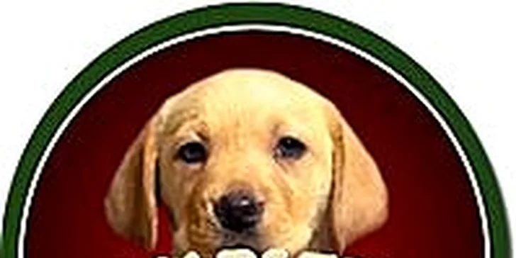 2 pizzy dle vlastního výběru v Pivním baru Marley 