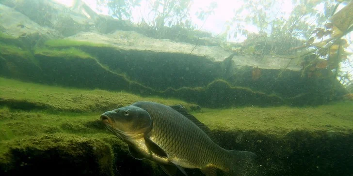 Co se děje pod hladinou: rodinný vstup do Lomečku s podvodní kabinou
