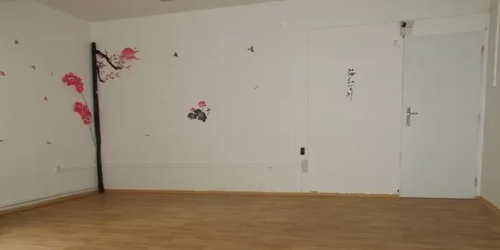 Permanentky na 10 lekcí cvičení pro ženy - powerjoga, pilates, jóga pro bolavá záda, bodyform