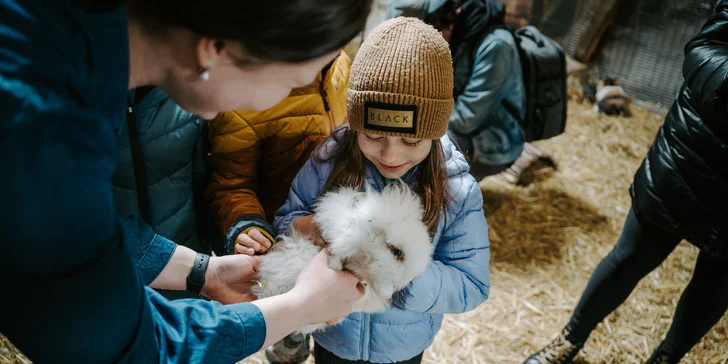 Na funkčnej BIO farme uvidíte hospodárske a iné zvieratá, ktoré si deti môžu pohladiť.