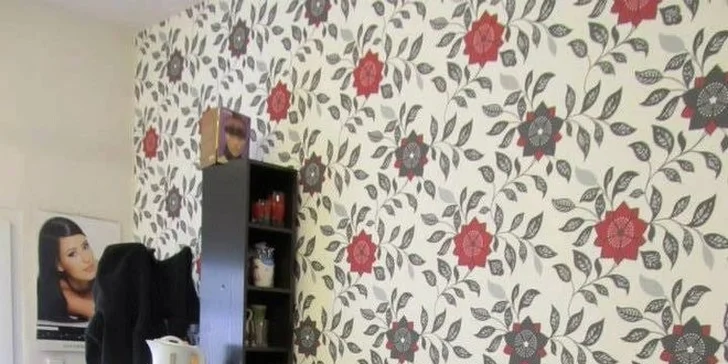 Profesionální střih vlasů s možností melíru či barvy