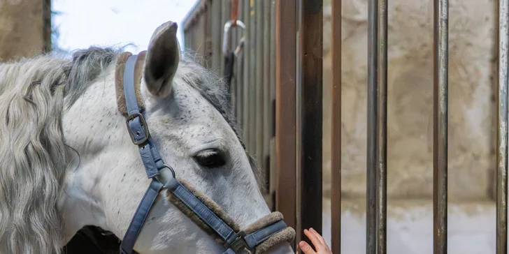 Rezervaci si udělejte telefonicky nebo na e-mailu předem.