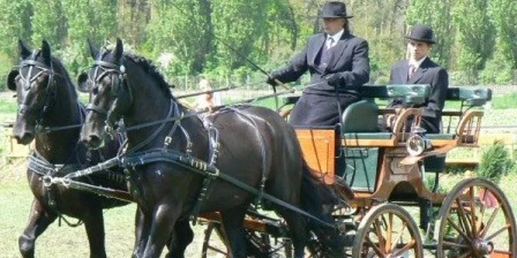Dvouhodinová projížďka v kočáře v prostředí Kunratického lesa. Koňské spřežení, krásné místo a romantický zážitek až PRO ČTYŘI osoby.