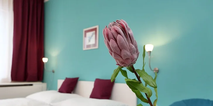 Dovolená plná aktivit v Hotelu Racek*** na Lipně