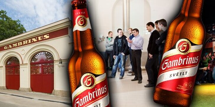 120 Kč za prohlídku pivovaru Gambrinus nabitou zážitky a multibalení 10 piv! Skvělá akce s přáteli a sleva 54 %.