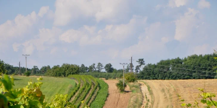Podzim s vínem - pobyt pro dva s degustací ve vinném sklípku
