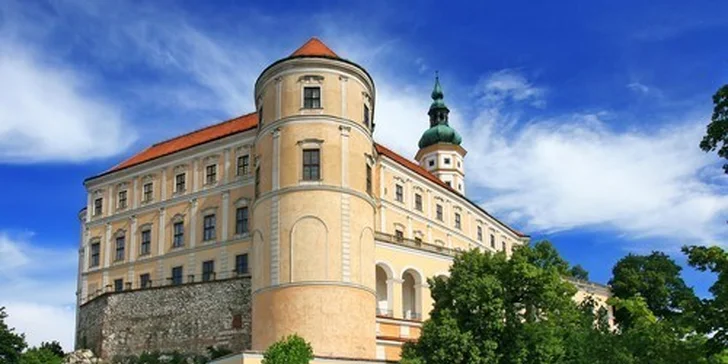 Pobyt se zvěřinovou baštou a vínem na jižní Moravě