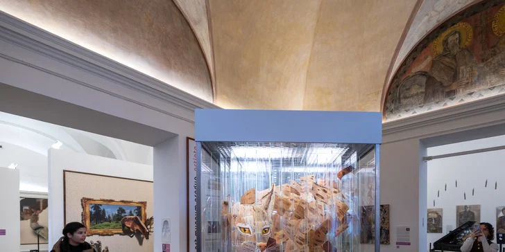 Muzeum najdete v Melantrichově ulici mezi Staromákem a Václavákem.