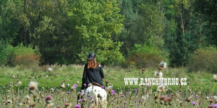 60minutová westernová projížďka na koni pro dospělé i děti na ranči M