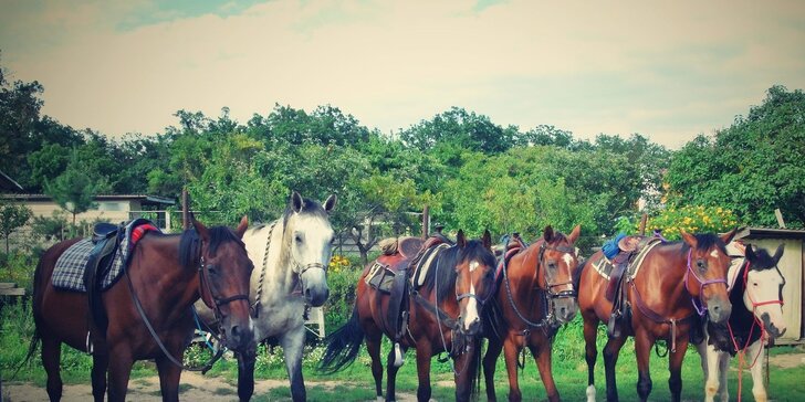 60minutová westernová projížďka na koni na ranči M pro dospělé i děti