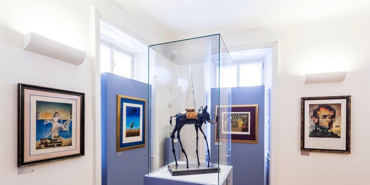 Dvě vstupenky na výstavu Salvadora Dalí - milý dárek