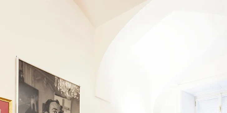 Kulturní lahůdka 3 v 1 pro milovníky výtvarného umění: Dalí, Mucha, Warhol