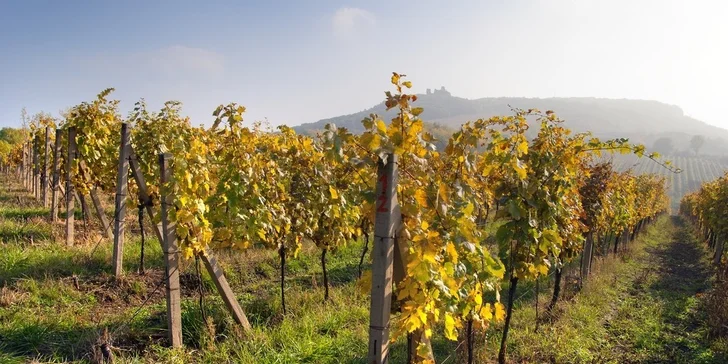 Podzim s vínem - pobyt pro dva s degustací ve vinném sklípku