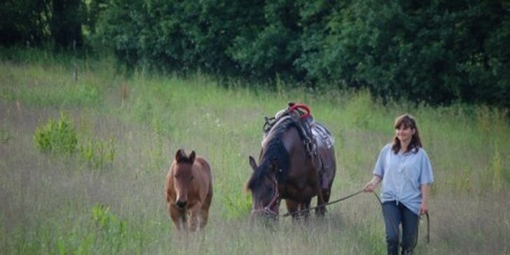 Projížďka na koni v přírodě nebo hodina jezdectví na jízdárně