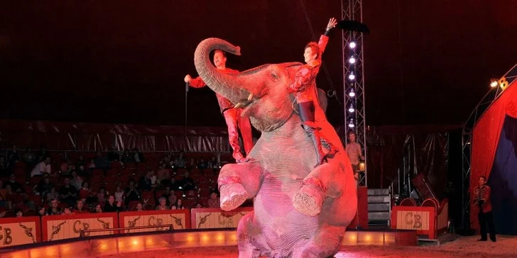 Dechberoucí cirkusová show Originál Berousek