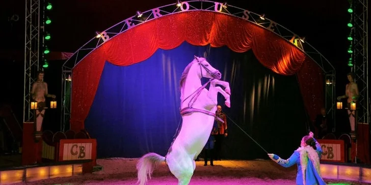Dechberoucí cirkusová show Originál Berousek