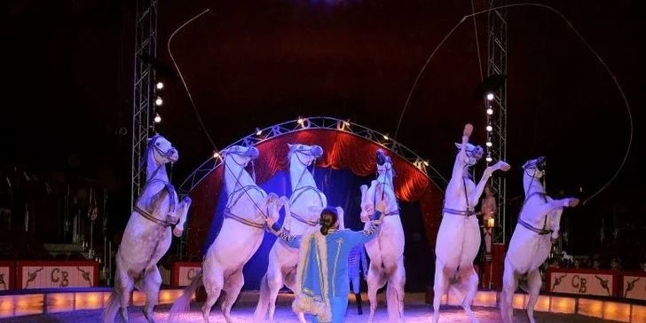 Dechberoucí cirkusová show Originál Berousek