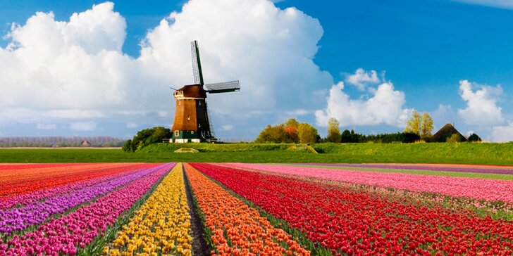 5denní zájezd do Holandska pro jednu osobu - poslední místa