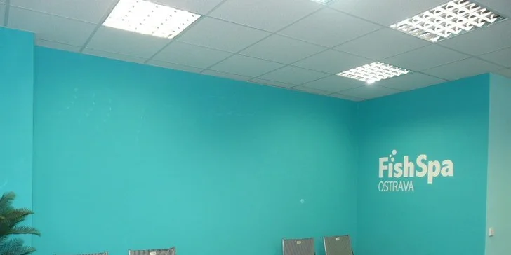 Koupel nohou či celotělová koupel s rybkami Garra rufa