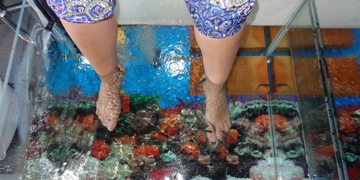 S dětmi na koupel nohou s Garra Rufa: 15minutová rybí pedikúra pro malé i velké