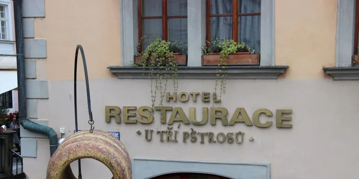 Svatomartinské menu pro dva U Tří Pštrosů