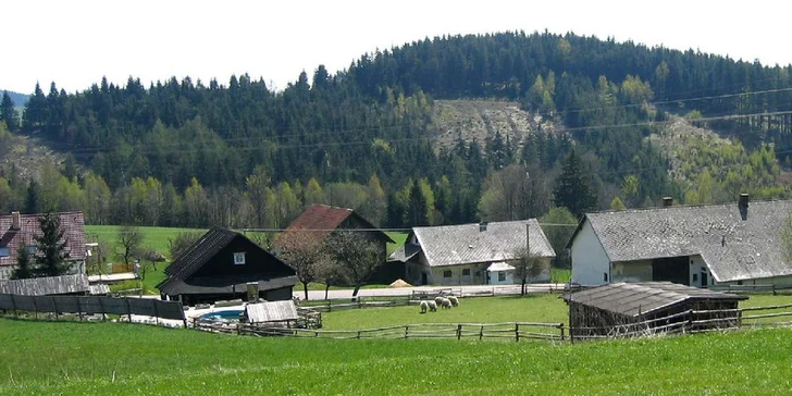 Relax v Roubence v Orlických horách až pro 8 osob