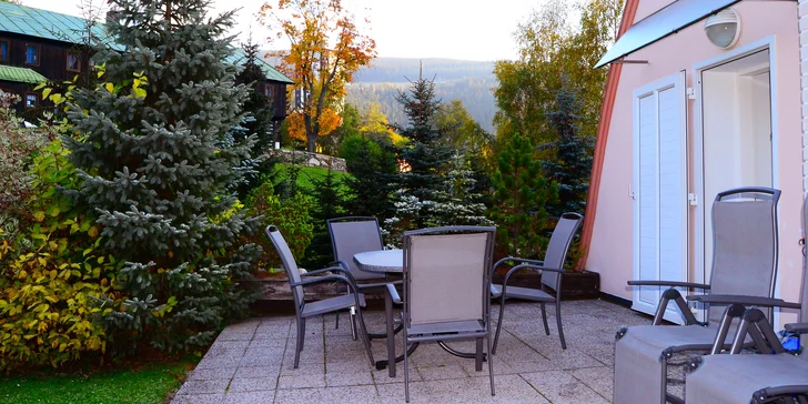 Součástí apartmánu je také zahrada s grilem a ohništěm, a tak pokud vám bude počasí přát, upečte si třeba buřty nebo ugrilujte šťavnatý steak.
