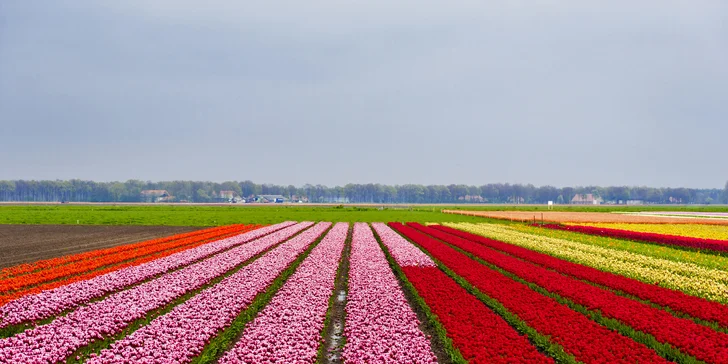Najdete tu i interiérové expozice - k nejoblíbenějším patří ty, jež jsou zaměřené na lilie a orchideje.