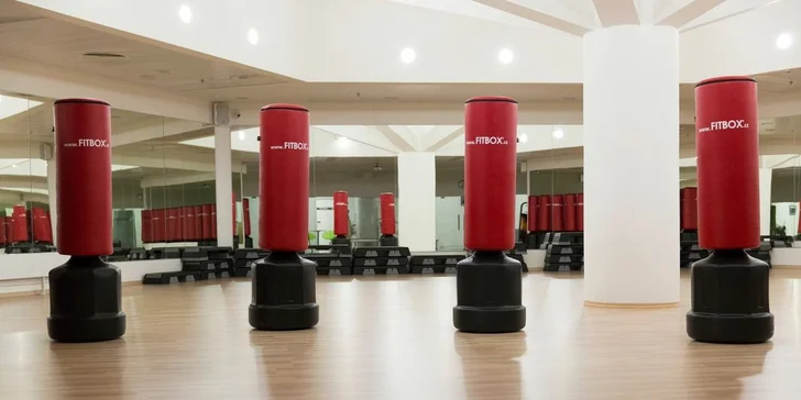 10 lekcí dle vlastního výběru ve Fitstudiukotva