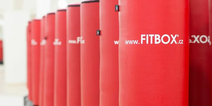 10 lekcí dle vlastního výběru ve Fitstudiukotva