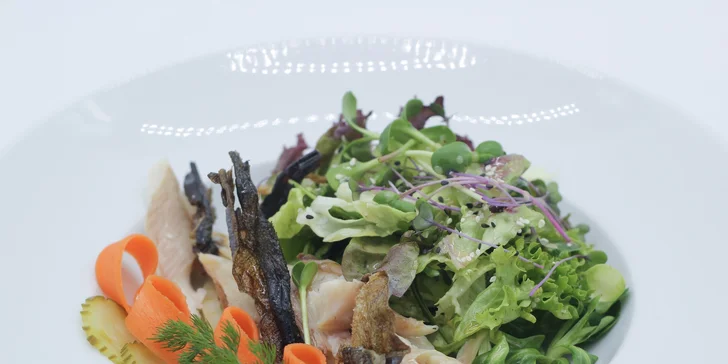 V nabídce je i pobyt s tříchodovou večeří z aktuálního menu v restauraci penzionu. 