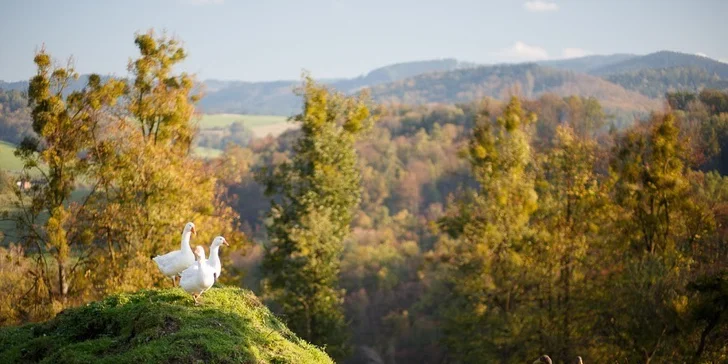 Dovolená v krásné přírodě v srdci Beskyd