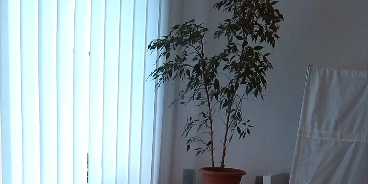 Pedikúra na mokro + lakování v ceně