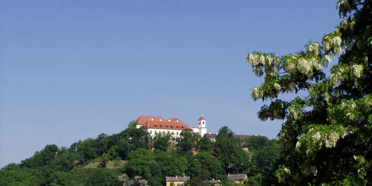 Kousek od hotelu je zastávka MHD Česká nebo Komenského náměstí.