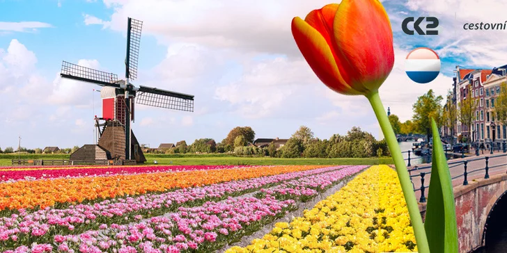Výlet do Holandska - krásné tulipány i Amsterdam