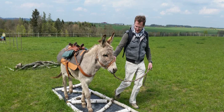 Před túrou se musí procvičit ovládání oslíků