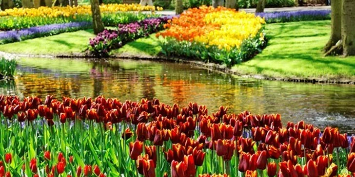 Výlet do Holandska - krásné tulipány i Amsterdam