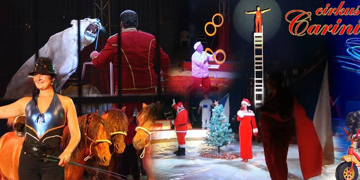 Vstupenky na vánoční show Cirkusu Carini